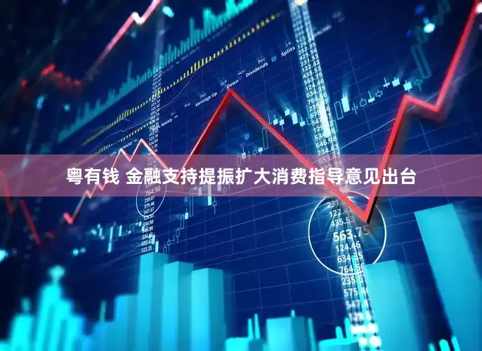 粤有钱 金融支持提振扩大消费指导意见出台