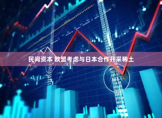 民间资本 欧盟考虑与日本合作开采稀土