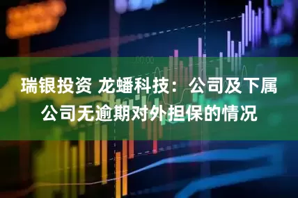 瑞银投资 龙蟠科技：公司及下属公司无逾期对外担保的情况